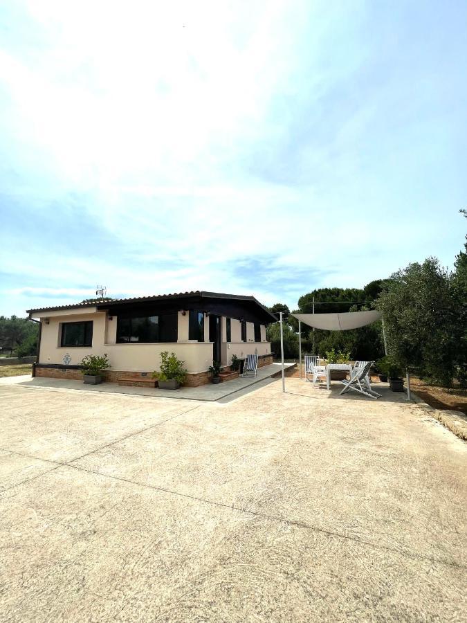 Il Moro - Casa Vacanze テッラジーニ エクステリア 写真